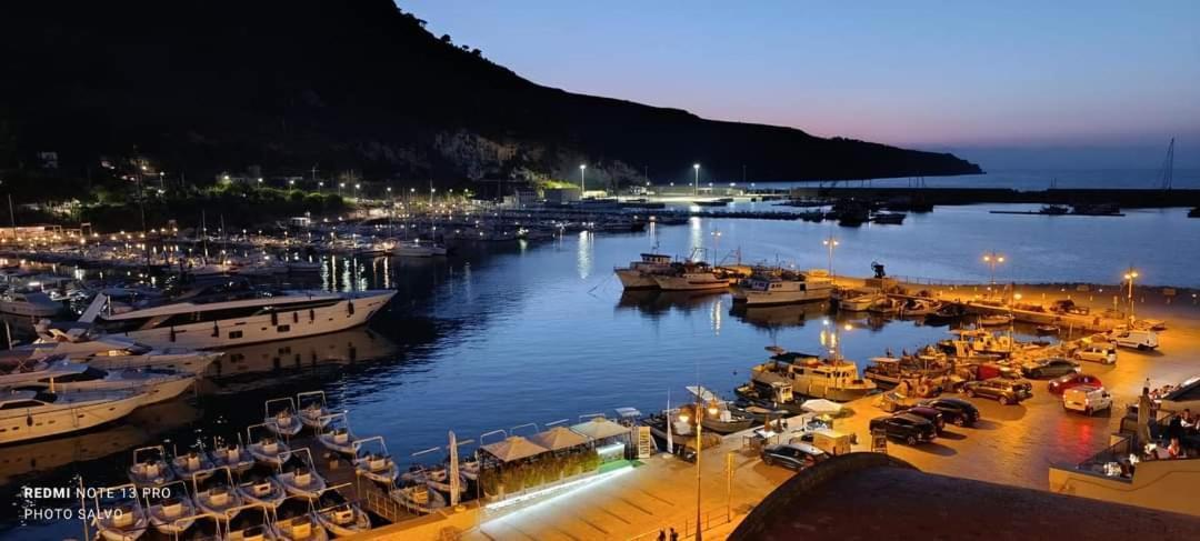 Golden House Daire Castellammare del Golfo Dış mekan fotoğraf